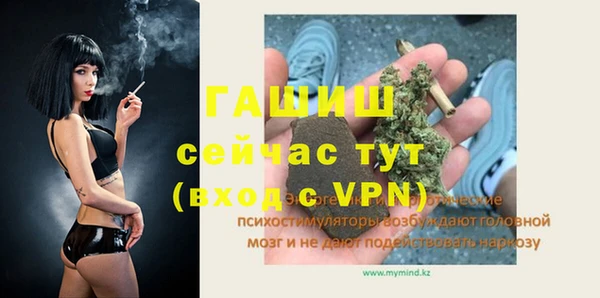 винт Абаза