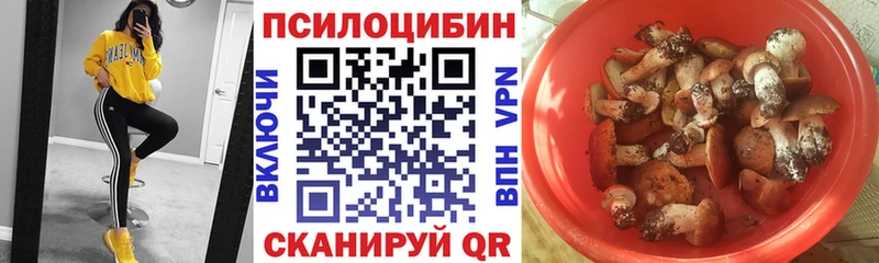 сколько стоит  Инсар  гидра онион  Псилоцибиновые грибы MAGIC MUSHROOMS 